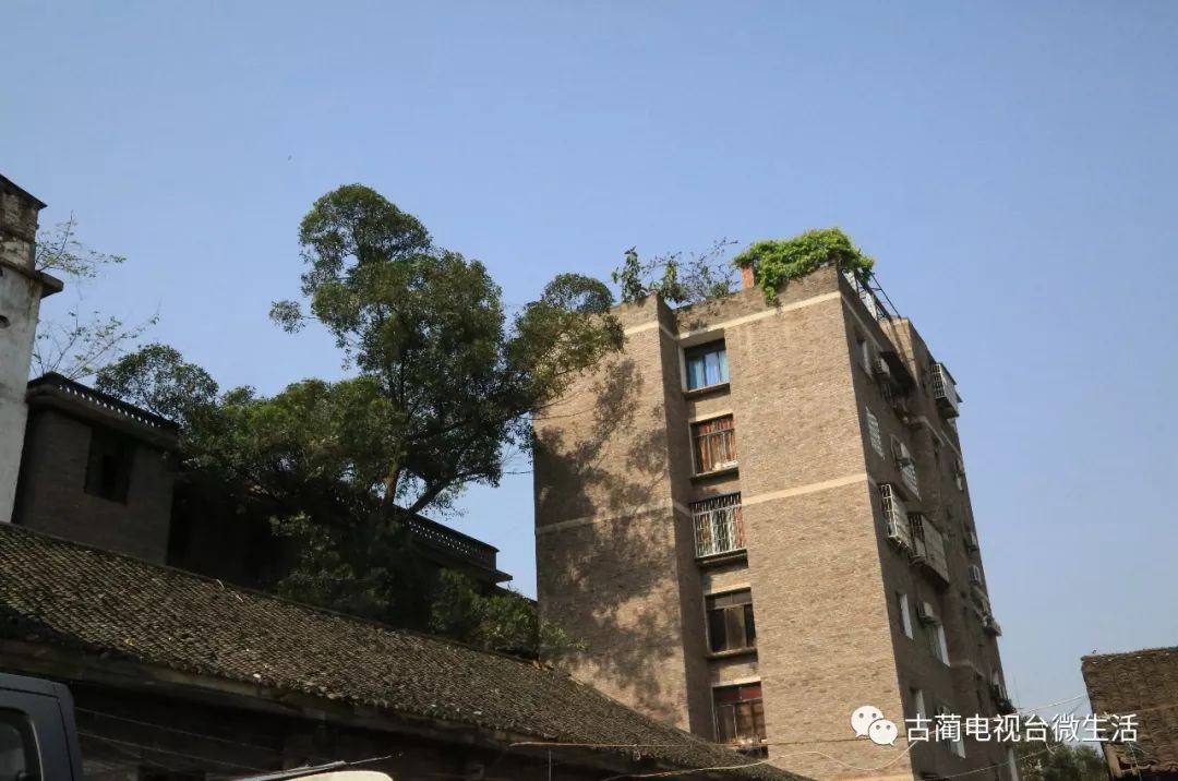 古蔺话｜古蔺方言走天下第二节「时令时间」