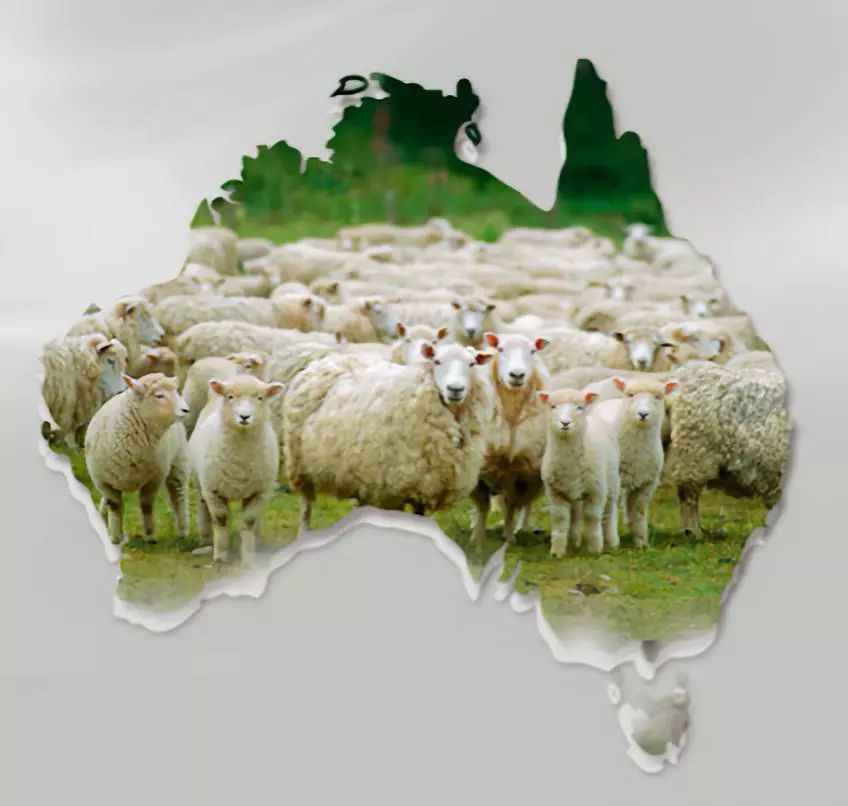 富安娜羊毛被，竟然只要299元！进口澳洲羊毛制造，温暖透气，柔软如云朵
