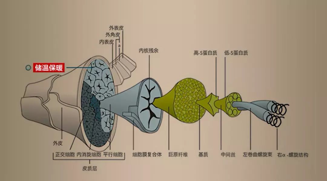 富安娜羊毛被，竟然只要299元！进口澳洲羊毛制造，温暖透气，柔软如云朵