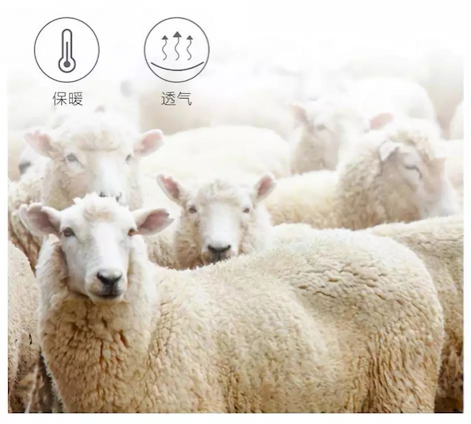 富安娜羊毛被，竟然只要299元！进口澳洲羊毛制造，温暖透气，柔软如云朵