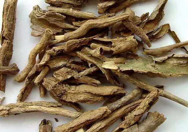 「本草驿站」枸杞子子