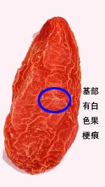 「本草驿站」枸杞子子