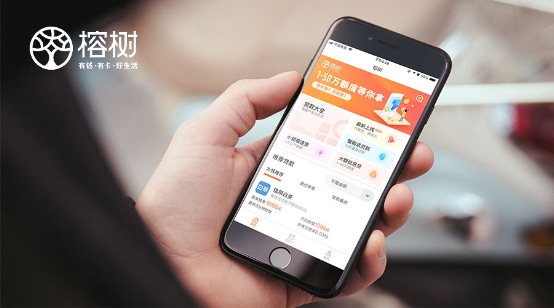 榕树平台：风口落幕，长出翅膀才能飞得更远