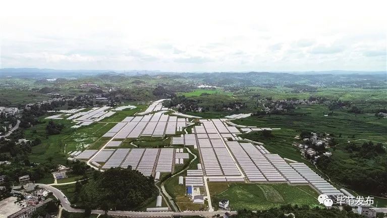 毕节市地区生产总值将首破两千亿大关｜2018多彩贵州大事记