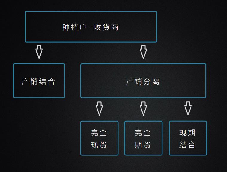 最传统与最前沿的碰撞：当农业遇上区块链