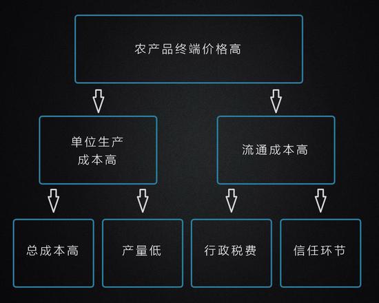 最传统与最前沿的碰撞：当农业遇上区块链