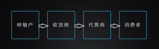 最传统与最前沿的碰撞：当农业遇上区块链