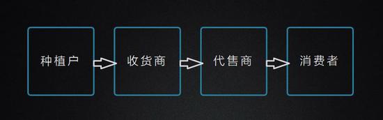 最传统与最前沿的碰撞：当农业遇上区块链