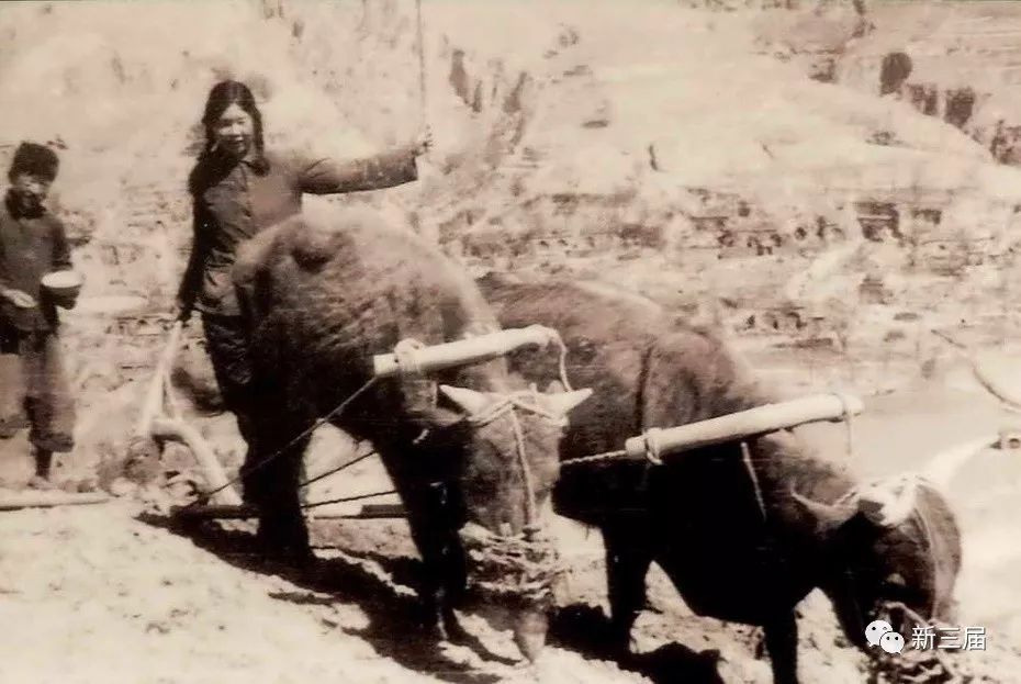 我与史铁生在陕北插队的日子丨知青