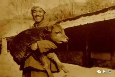 我与史铁生在陕北插队的日子丨知青