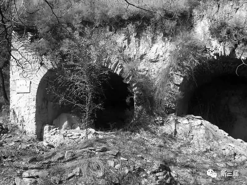 我与史铁生在陕北插队的日子丨知青