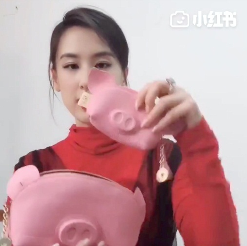 黄圣依晒本命年萌猪装备 时尚喜庆获追捧