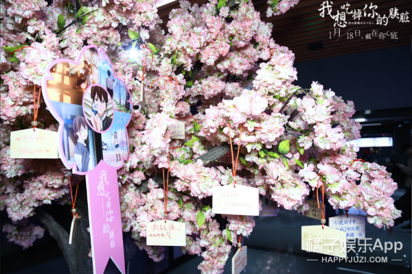 樱花树下的相遇《我想吃掉你的胰脏》青春首映礼！