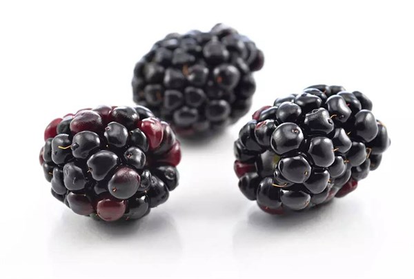 黑莓的营养价值和功效 黑莓吃了有什么好处？