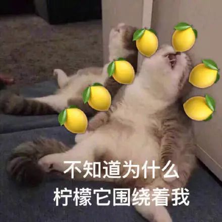 屈楚萧、陈坤都在跪求的温居礼物，我们都准备好了~