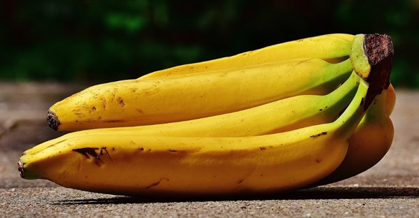 一天吃几根香蕉最好（夏季养生重在养心不妨吃些香蕉）