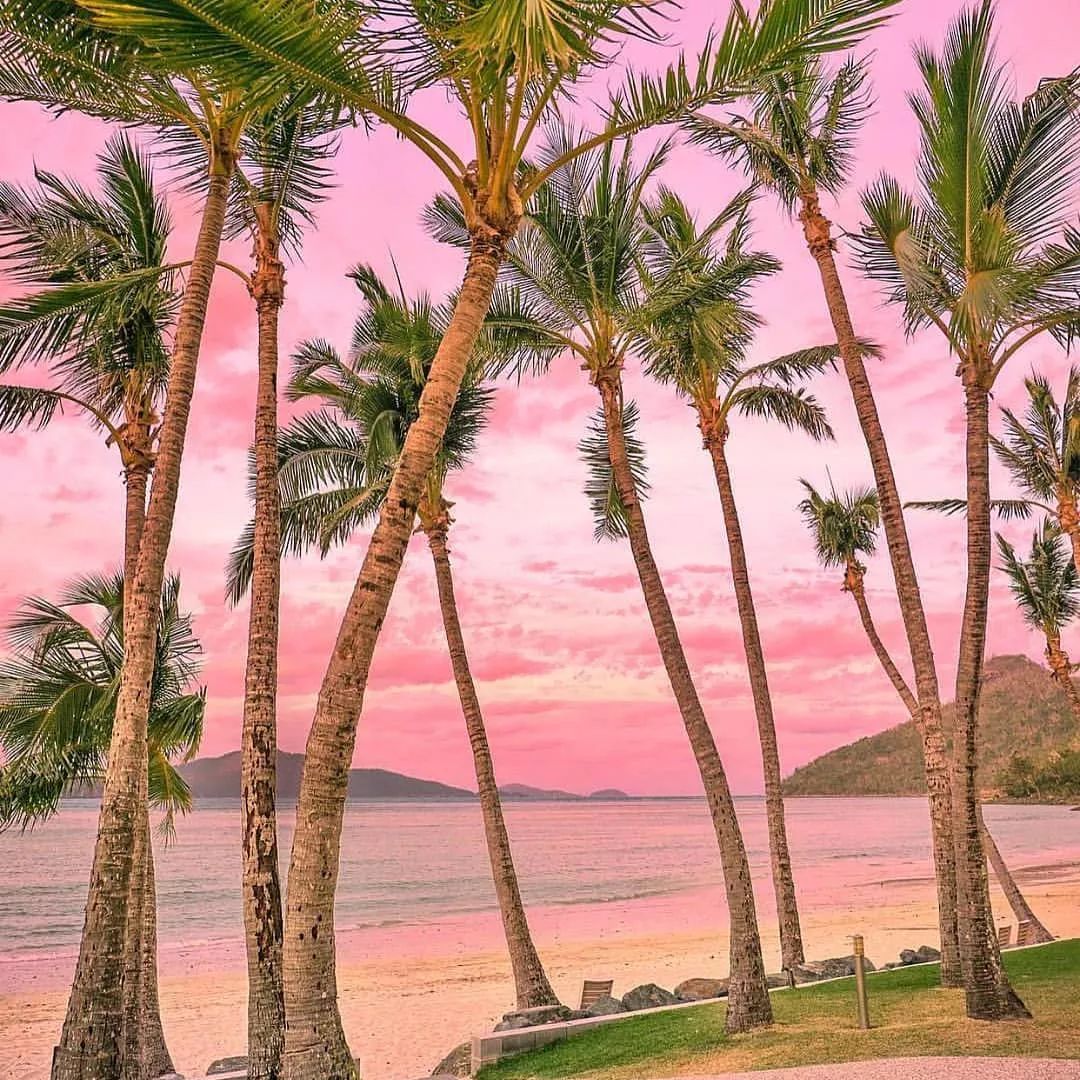 印尼这一片粉色沙滩美炸了