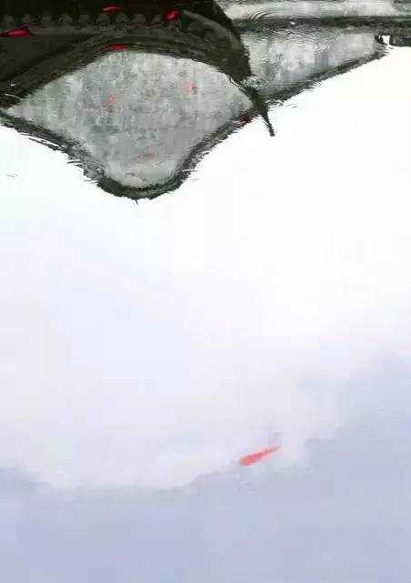 一袭江南梦，醉卧烟雨中！