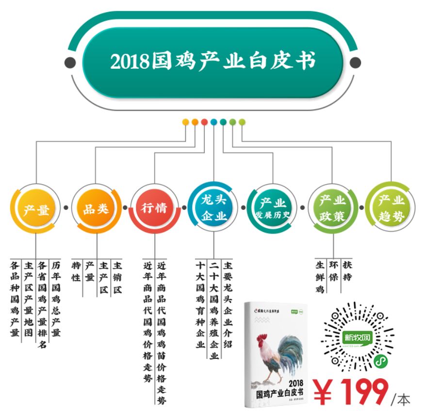 梵天鸡(身高可达1.2米，鸡之大，一锅根本炖不下！)