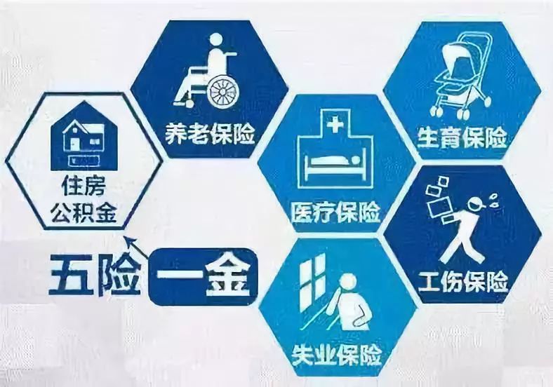 2019最新青岛通讯录+办事指南！人手一份，一定用得上！赶紧收藏！