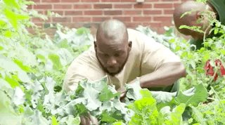 这所世界上最凶残的大学，学生都是杀人、抢劫犯却打败哈佛学霸：重启人生，任何时候都不晚