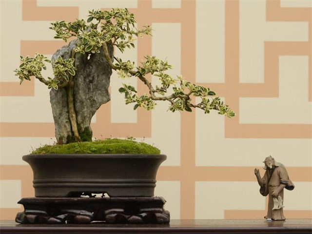 朋友搬家送什么寓意好（亲人搬家送什么比较吉祥）