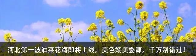 小长假高速免费！不走走河北这10条小众自驾线路，感觉将会错过一个亿！