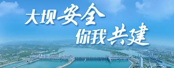 枝江市人民医院招聘（最新）