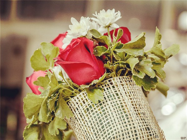 勉励自己不断进步的话，句句经典