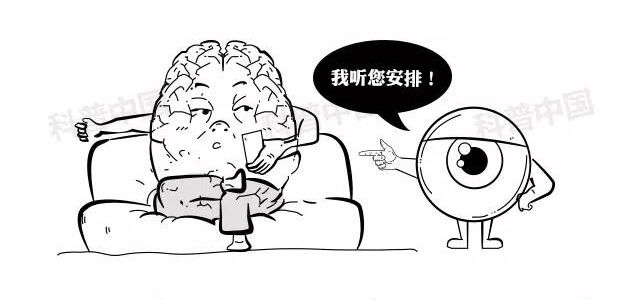 左眼跳财、右眼跳灾？眼皮：现在就告诉你我为啥跳…