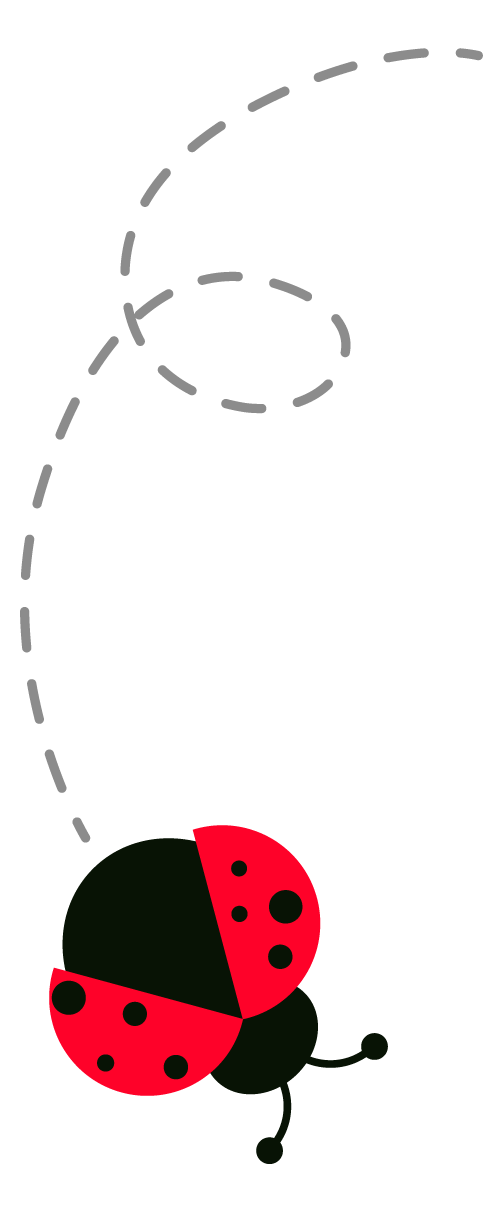 世园会·百蔬园丨百种时令蔬菜 —— 海鲜菇（八十一）