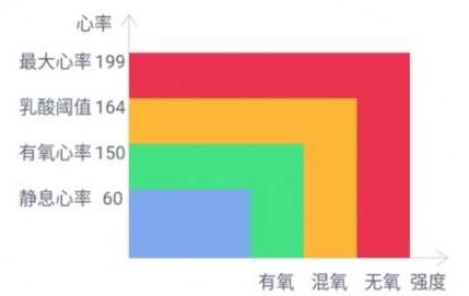 自行车运动(骑行是一项黄金有氧运动！能减脂还顺便锻炼这些器官)