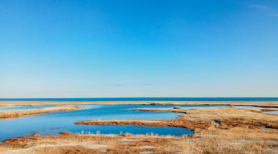 青海湖，是一见钟情，也是日久情深