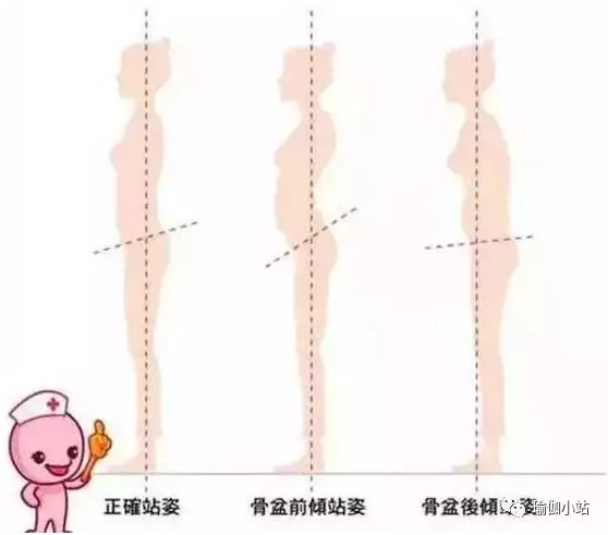 瑜伽練習的體式順序該怎樣編排？