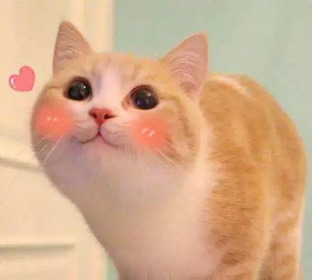 新一期“青年大学习”网上主题团课来啦！（附上期排名&公众号影响力排行榜）