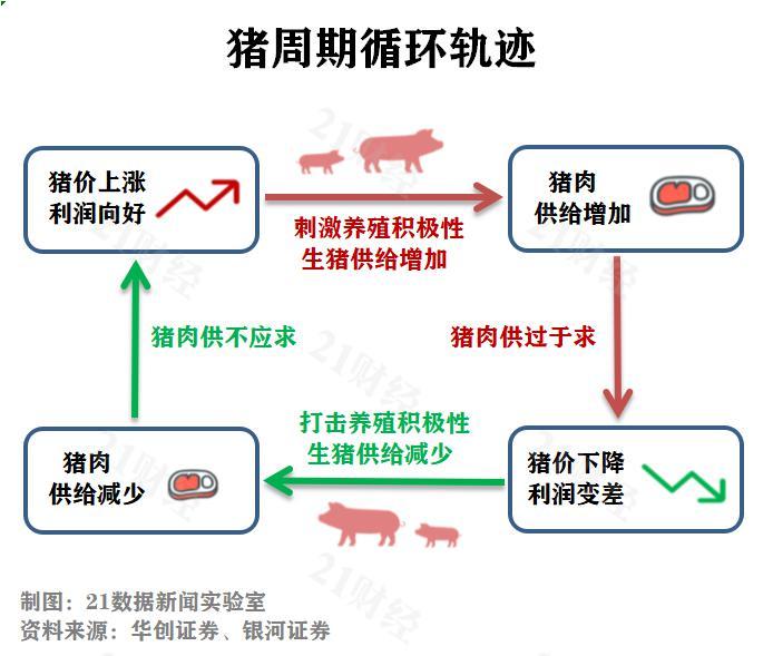 猪价将大涨，猪肉股还能买吗？六张图揭开猪肉价格与股价的秘密