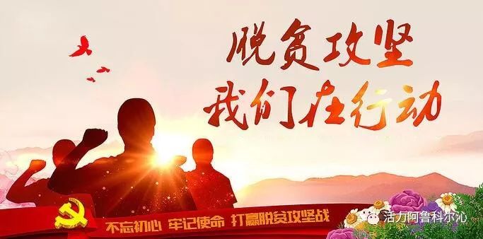 【脫貧攻堅·人大代表在行動】“合作社+貧困戶”模式助力貧困戶增收——記阿旗第十七屆人大代表·天溢農(nóng)業(yè)專業(yè)合作社理事長吳亞飛