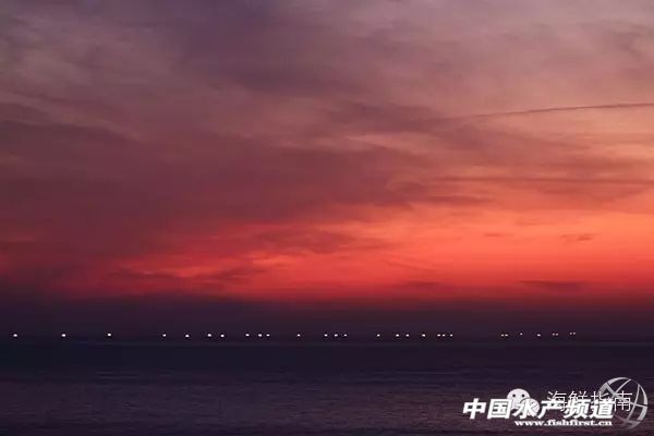 魷魚是魚嗎,魷魚是魚嗎,為什么