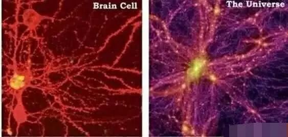 宇宙和大脑惊人的相似，这些不可思议的证据，足够解释一切
