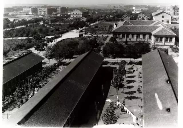 1960年5月7日，陕西师范大学组建成立！