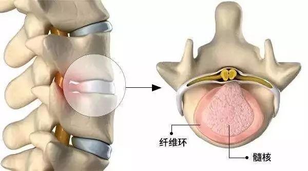 补气血、疏经络，这1套动作每天睡前练，60岁依然年轻