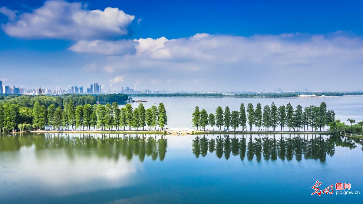 形容武汉东湖的美景_赞美武汉东湖风景区的诗句 - 云林新闻励志网