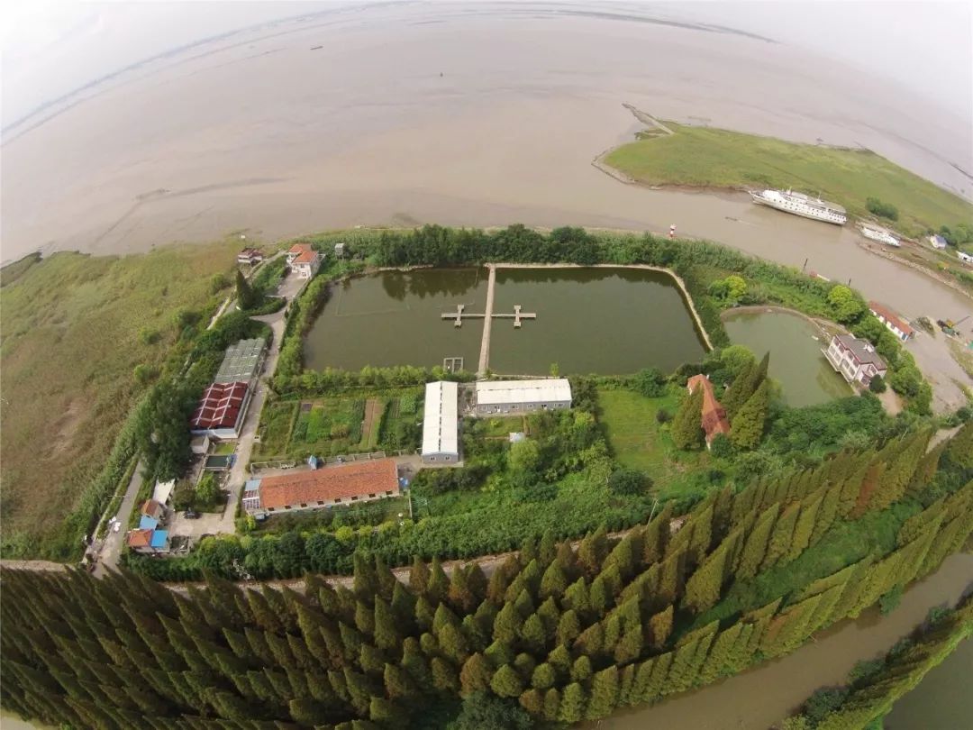 华东师大与上海：致敬历史 展望明天！