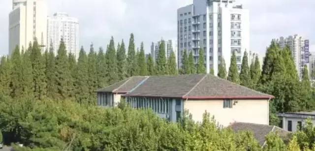 华东师大与上海：致敬历史 展望明天！