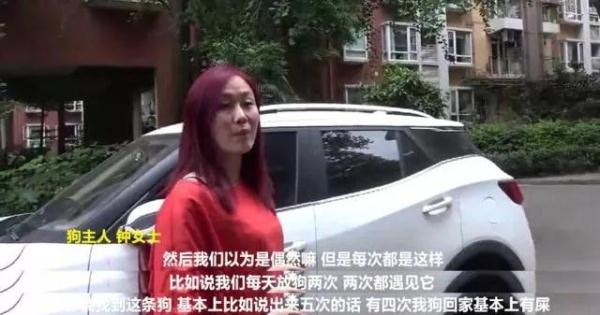 动物记起仇来有多可怕？路上碰到它，千万要快跑！