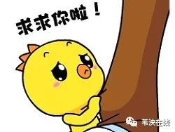 徐州这家现代4S店人去楼空，客户购买的服务如何兑现？
