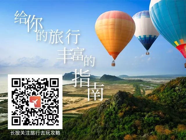 2020，手机里超受欢迎的12个公众号