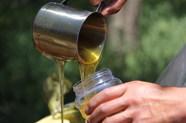 喝蜂蜜水的功效与作用（喝蜂蜜水会发生意想不到的好收获）