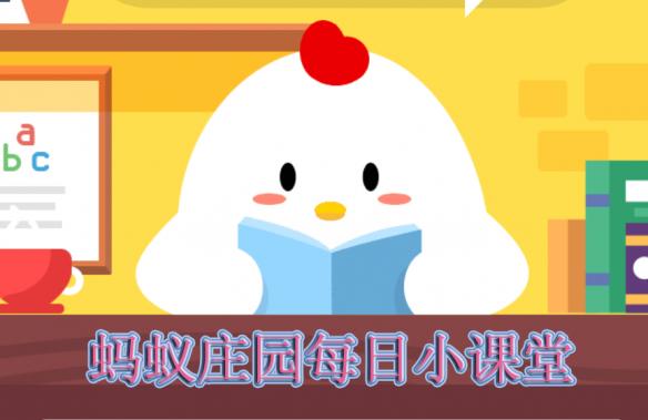 豪豬的近親,豪豬的近親是什么動物