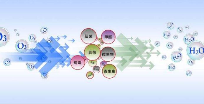 绿茶加白醋可以除甲醛吗环保36